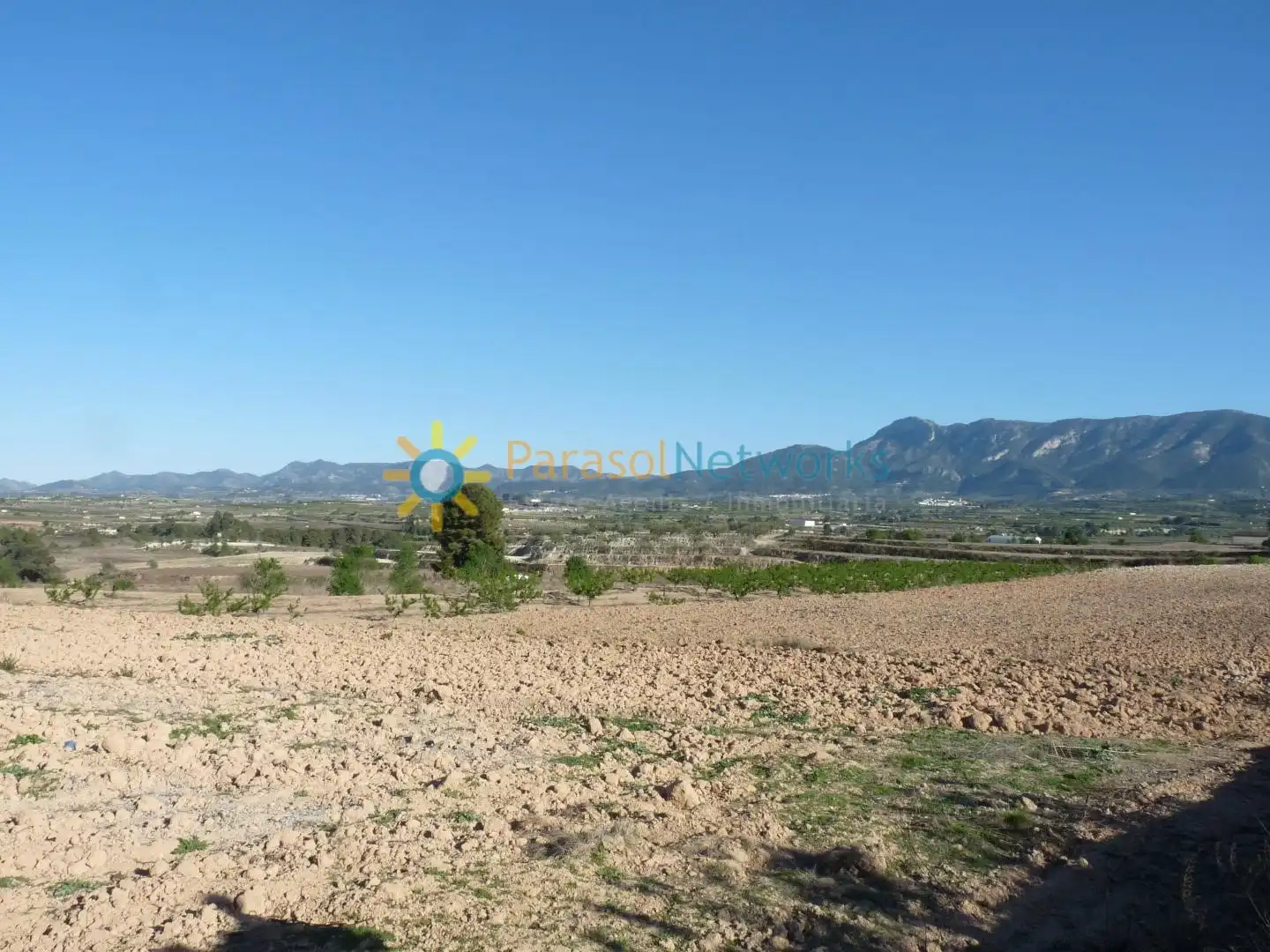Terreny rústic en venda a Bélgida, imagen 18
