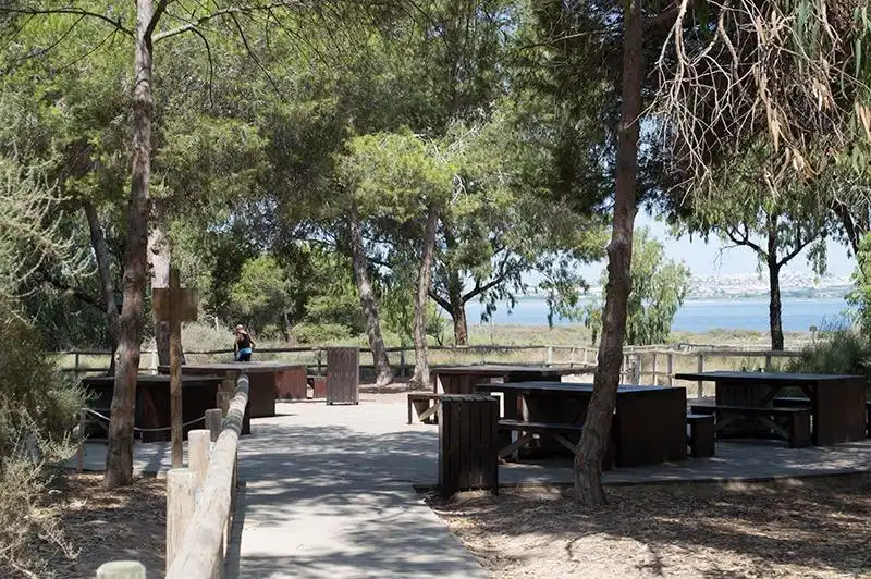 Apartamento en venta en Torrevieja con Terraza y Balcón
