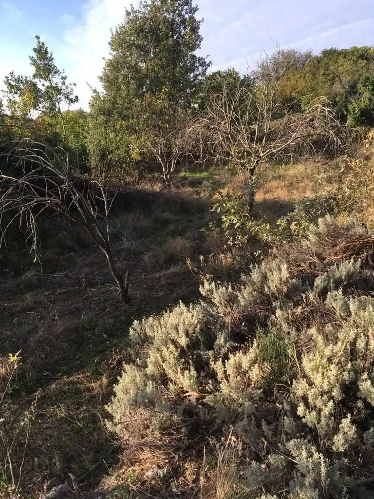 Terreni e lotti in vendita a Aldeanueva de la Vera, imagen 6