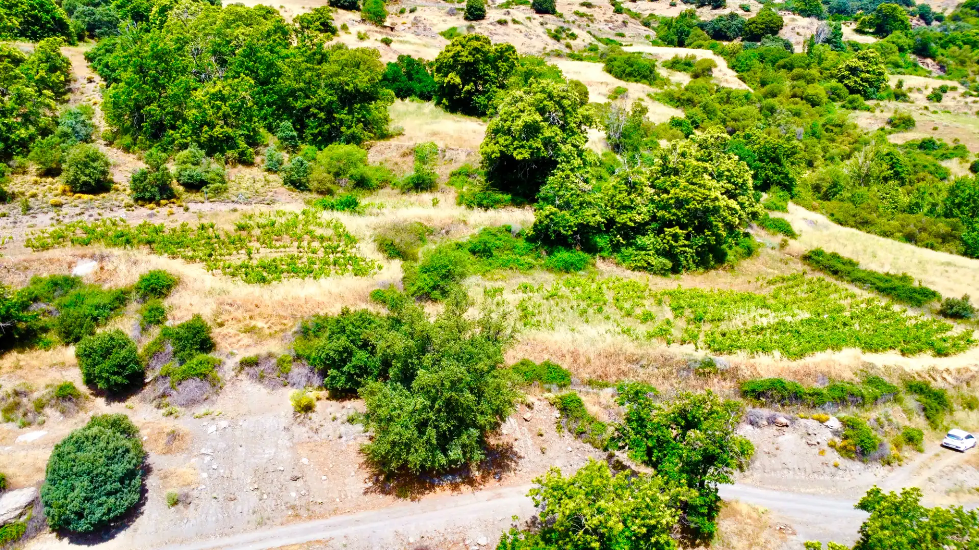Terreni e lotti in vendita a Alpujarra de la Sierra, imagen 46
