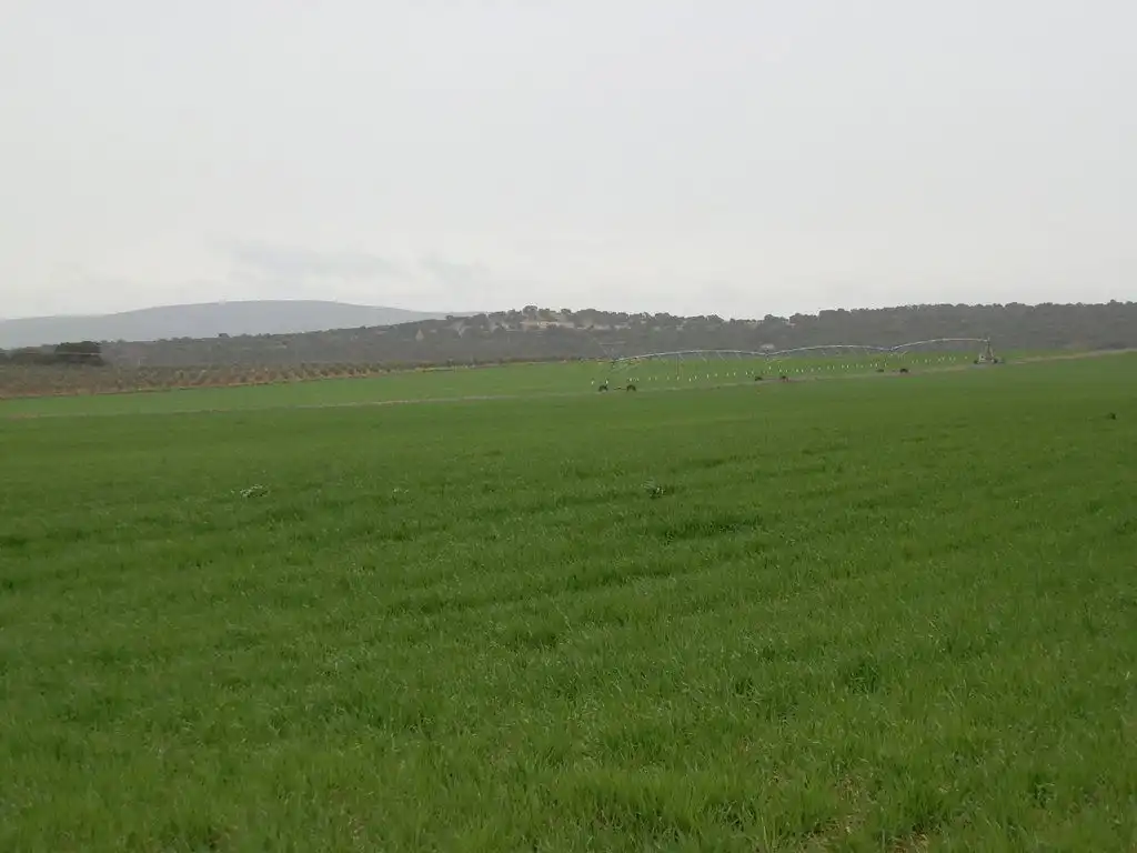 Terreno rustico in vendita a Centro - Plaza Mayor, imagen 3
