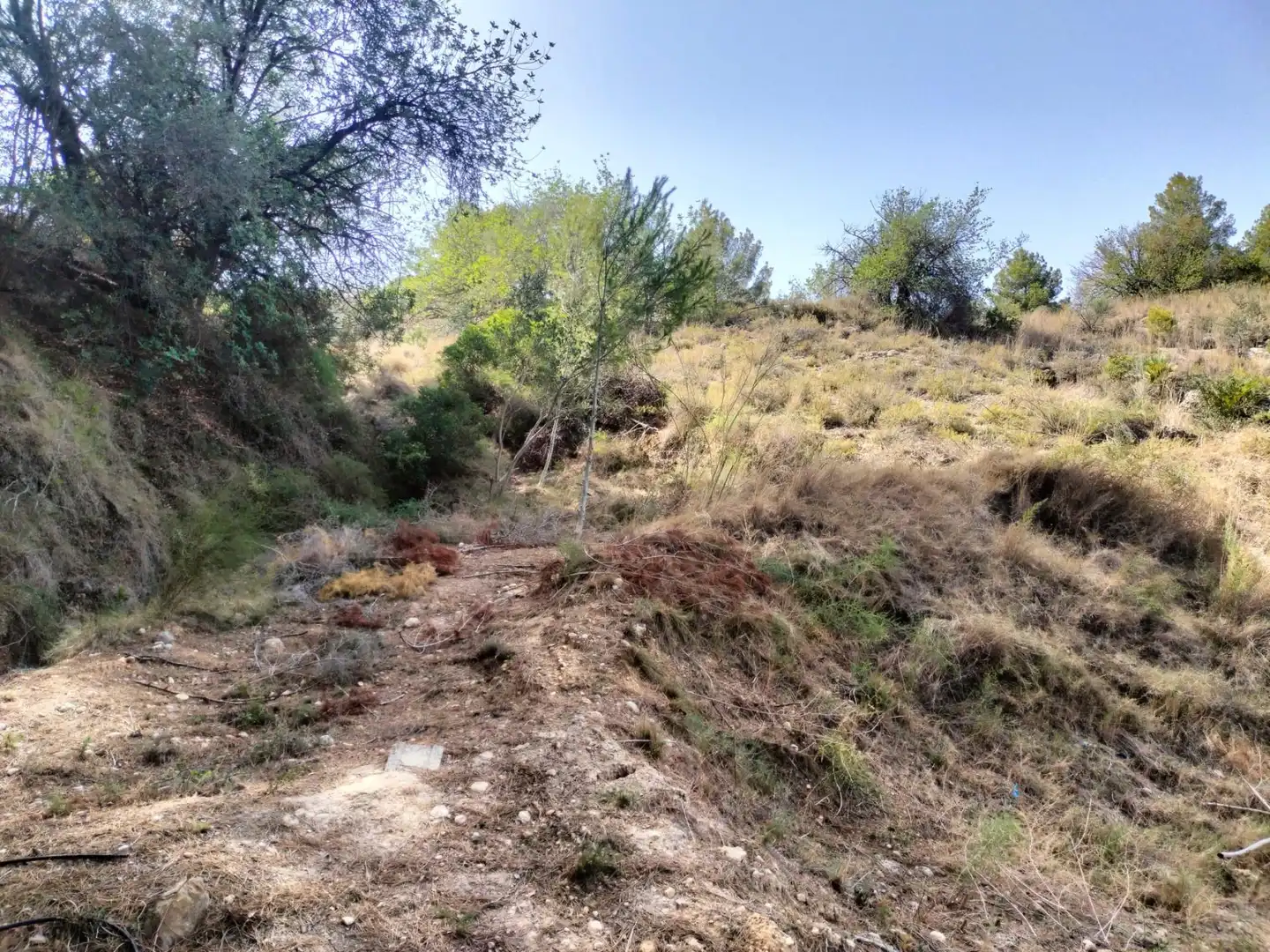 Local en venta en L'Alcúdia de Crespins