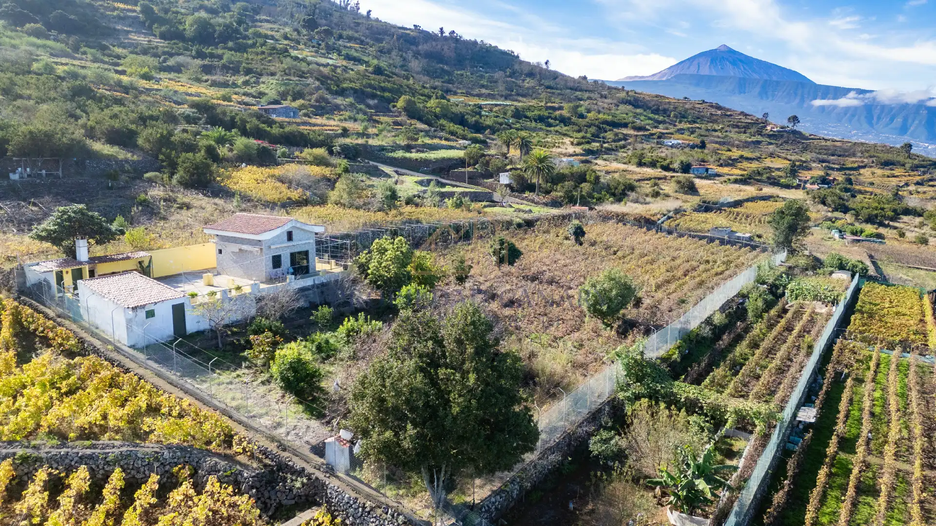 Finca rústica en venda en Santa Úrsula amb Terrassa