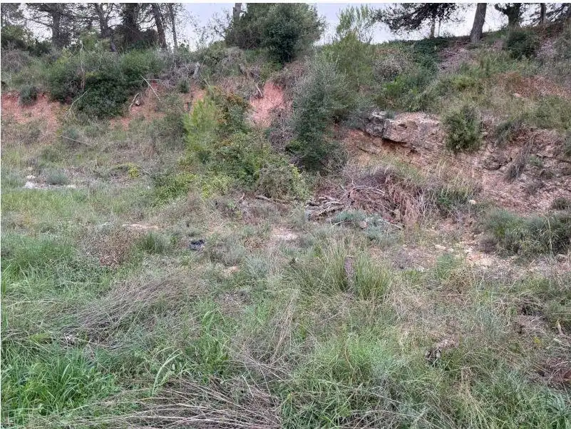Residential land for sale in La Pobla de Claramunt, imagen 8