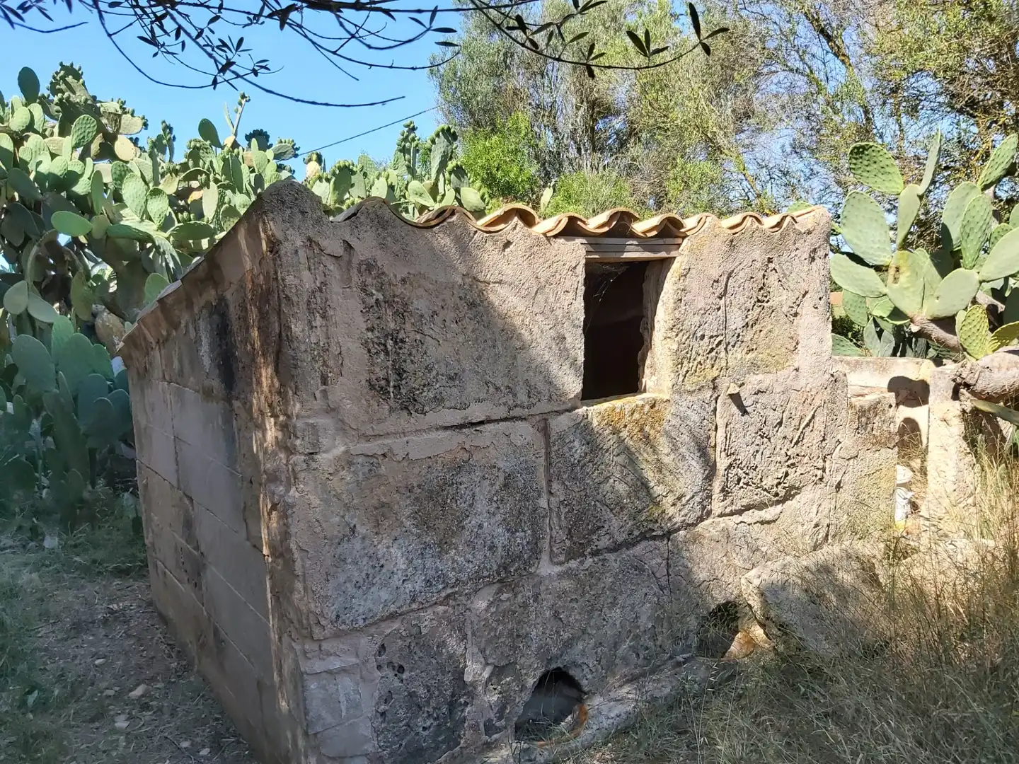 Vista exterior de Finca rústica en venta en Campos