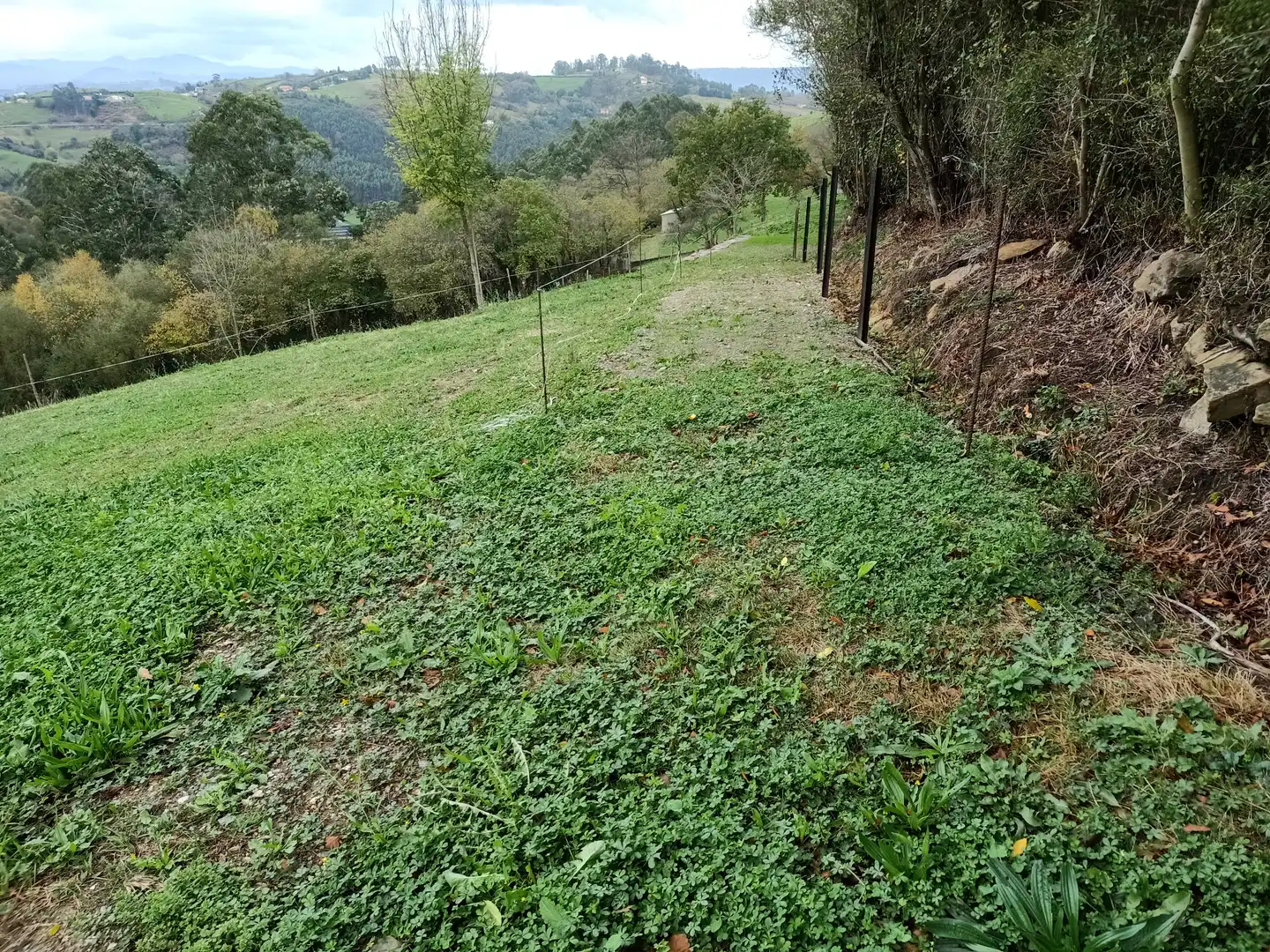 Terreny rústic en venda a Camín de Huerces 9, imagen 9