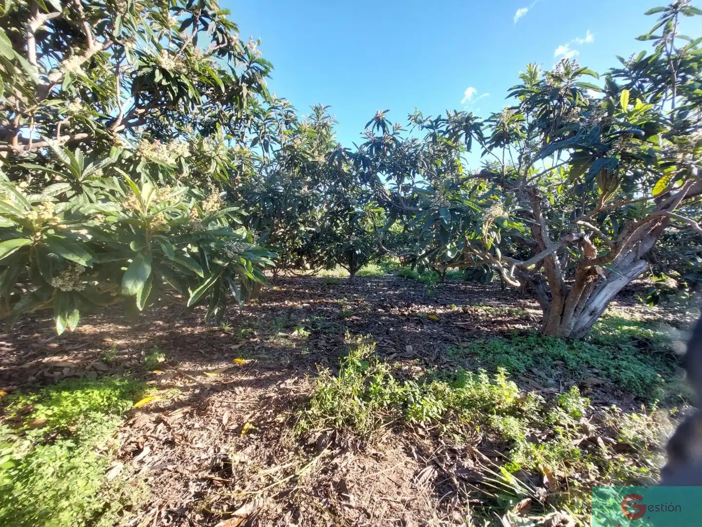 Maison rustique à vendre à Centro, imagen 17