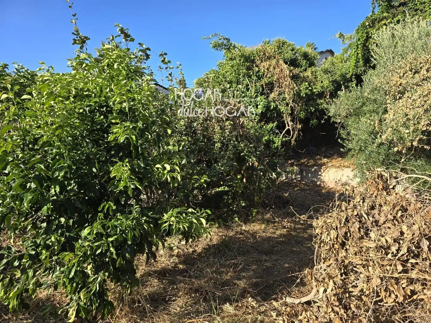Terrain rustique à vendre à de la Morera, imagen 11
