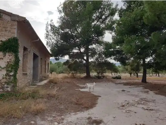 Terreny residencial en venda a Partida Lugar III Pd 3, 2264, imagen 8