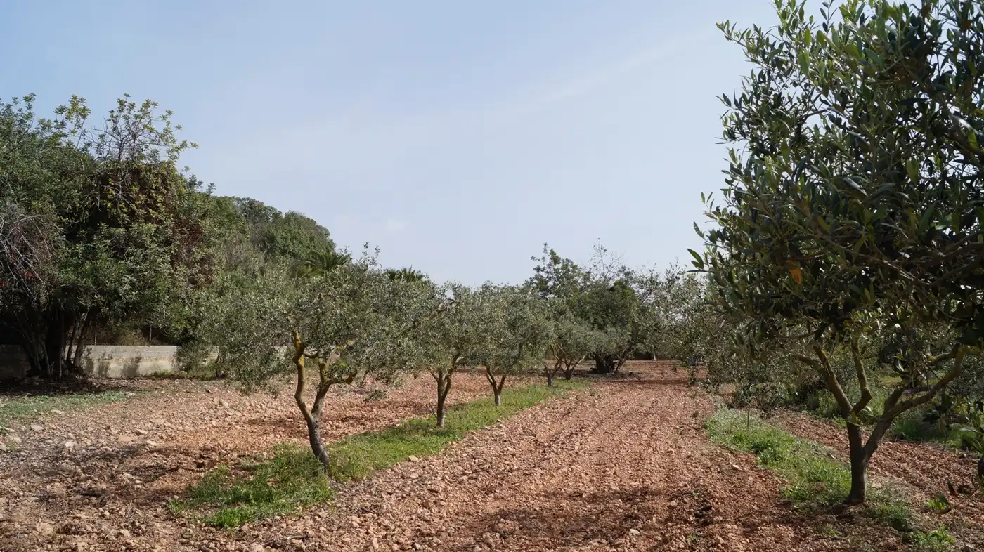 Terreno en venta en Torredembarra