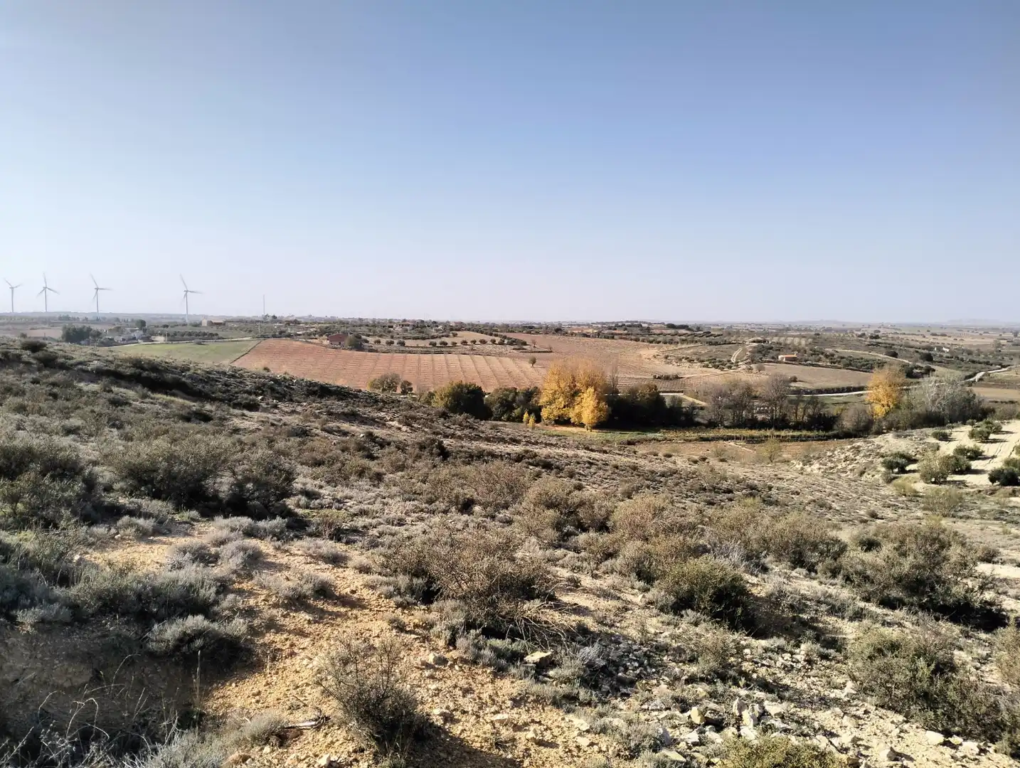 Residencial en venta en Munera