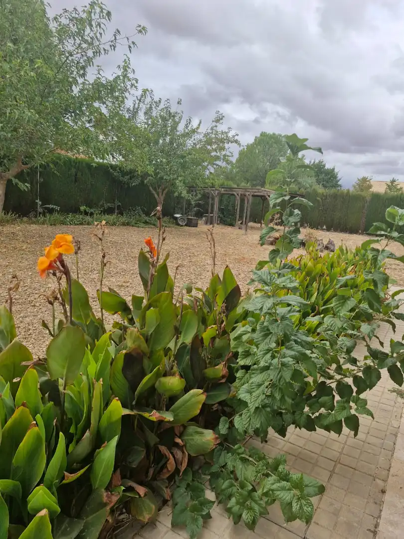 Jardín de Terreno en venta en Pozuelo de Calatrava