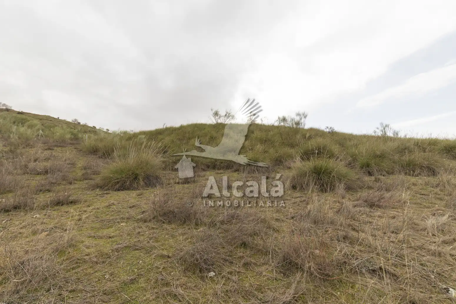 Terreny residencial en venda a Illana, imagen 32