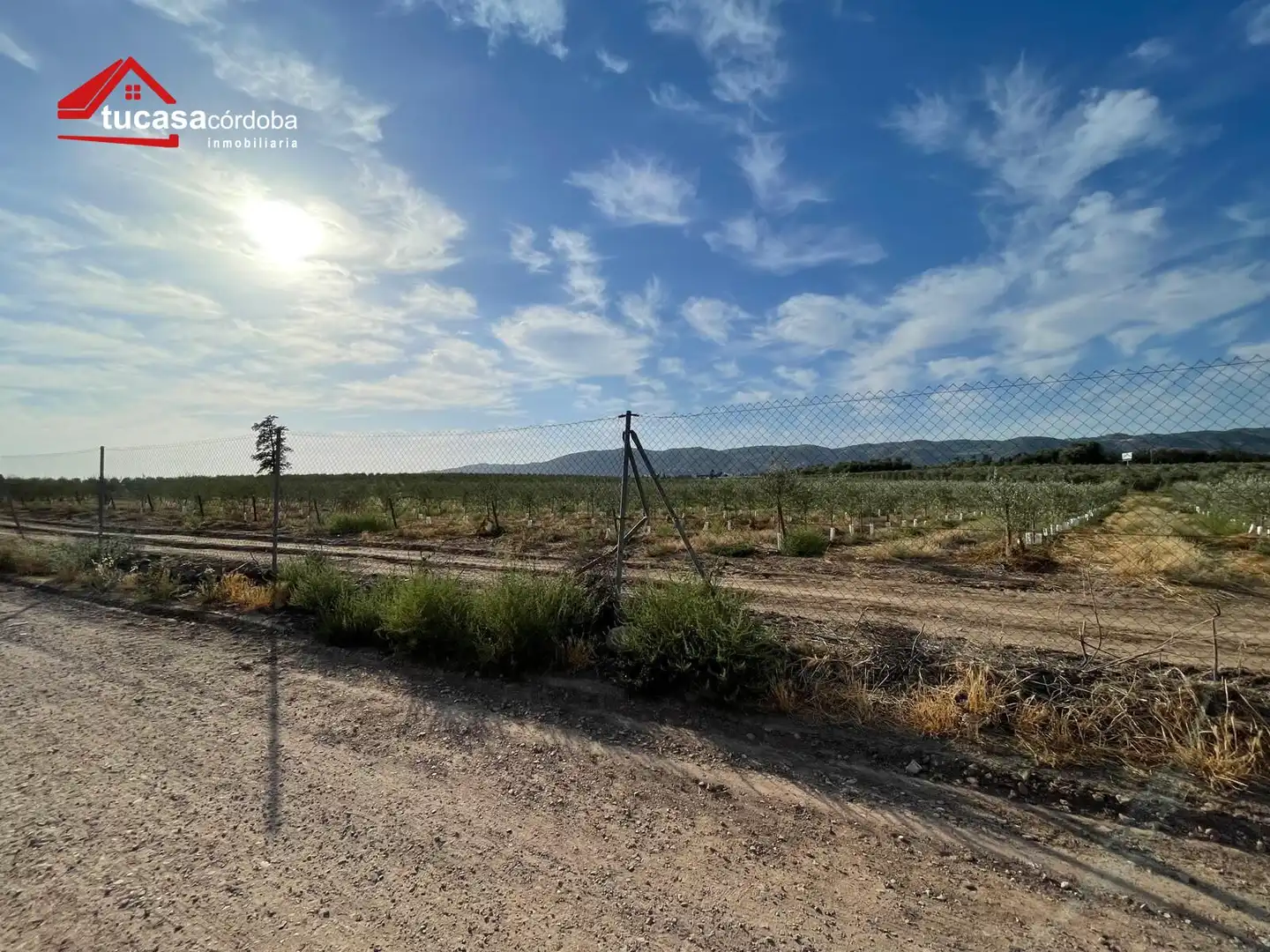 Finca rústica en venta en Córdoba con Piscina