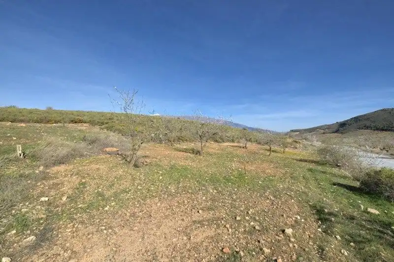 Terreno rustico in vendita a El Valle, imagen 4