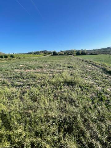 Terreno en Venta en Puiggròs