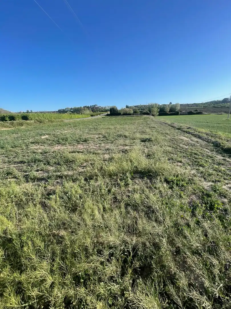 Terreno en venta en Puiggròs