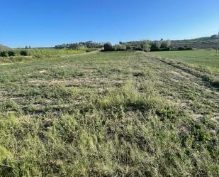 Land for sale in Puiggròs