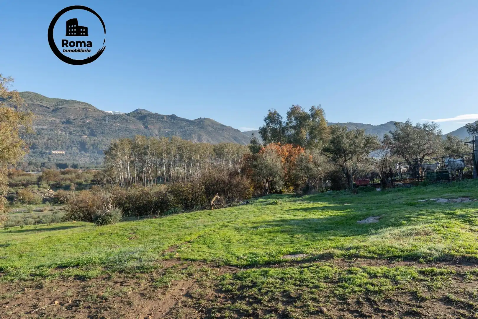 Rural land for sale in Órgiva, imagen 3