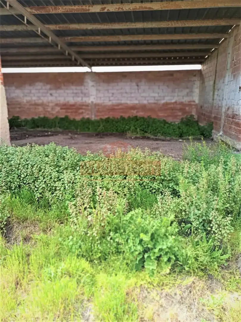Terreni e lotti in vendita a Casas de Juan Núñez, imagen 20