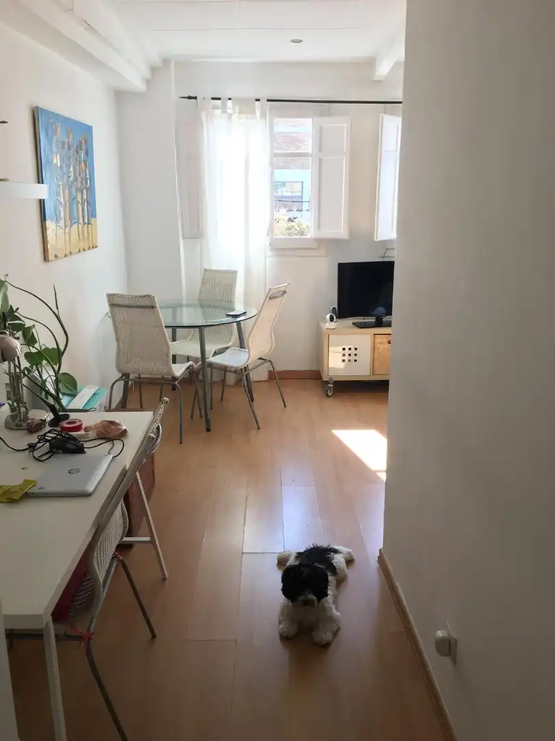 Comedor de Piso en venta en Barcelona con Aire acondicionado y Parquet