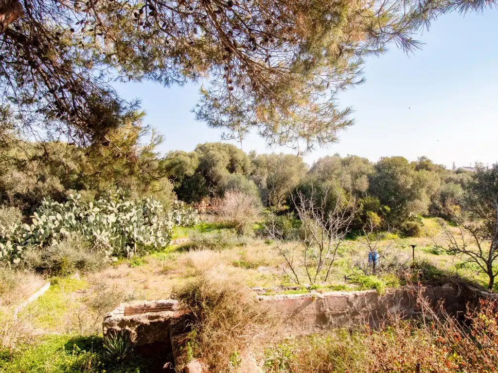 Landhaus mit Garten zum Verkauf in Ciutadella, imagen 29
