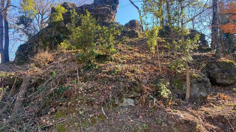 Finca 2.300 m2 garrotxa, immagine 4