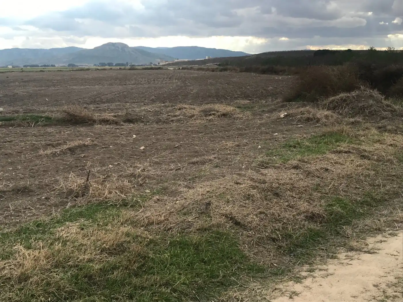 Grundstücke zum Verkauf in Villena
