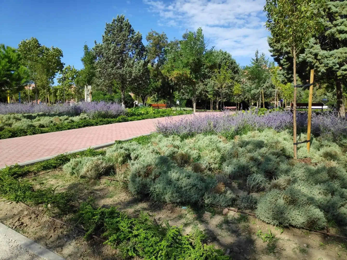 Jardí de Pis en venda en Madrid amb Calefacció i Terrassa