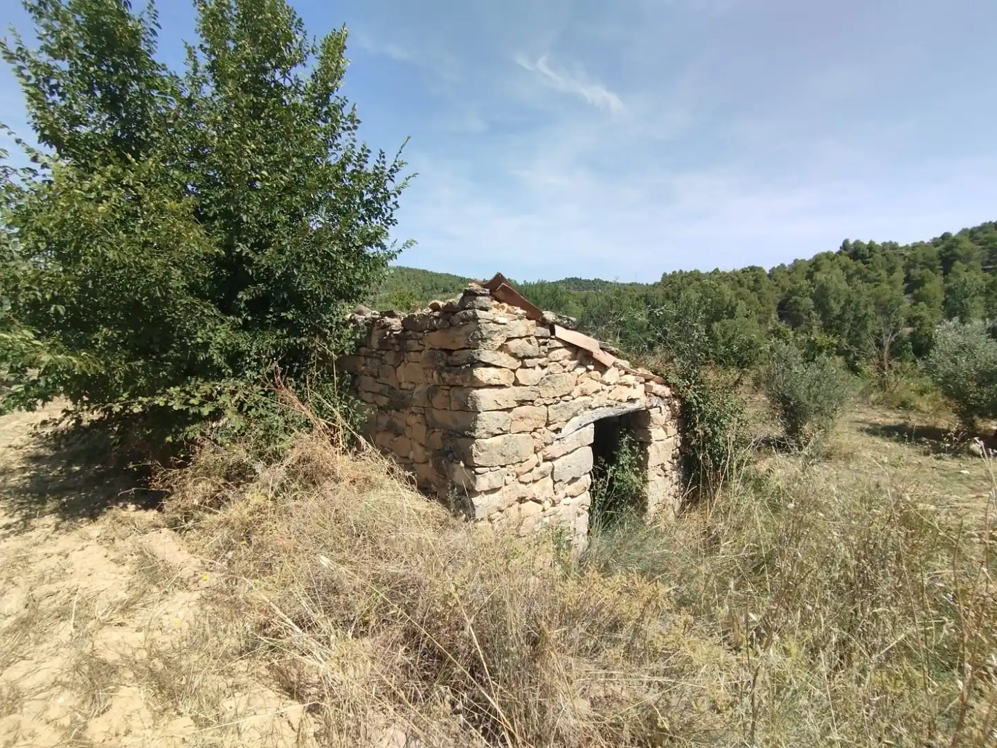 Terreni e lotti in vendita a Valderrobres