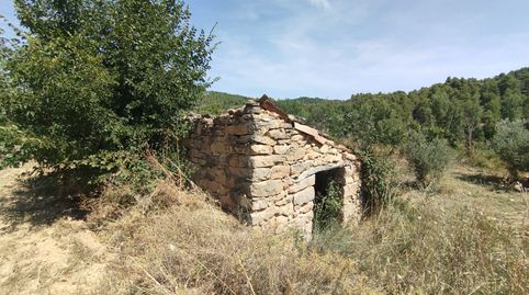 Finca rústica con maset