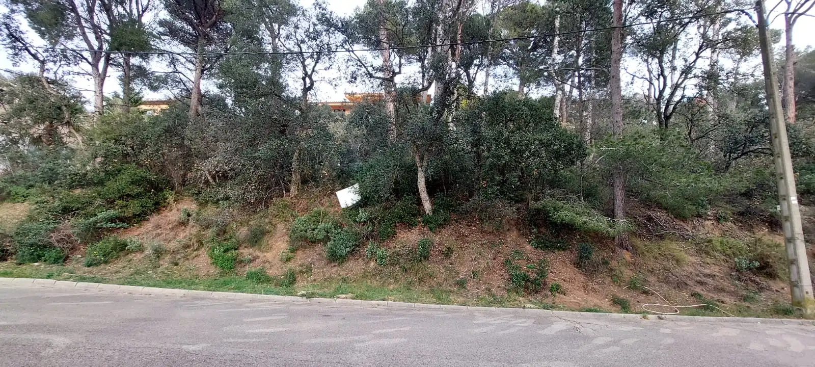 Terreny residencial en venda a Tamariu, imagen 16