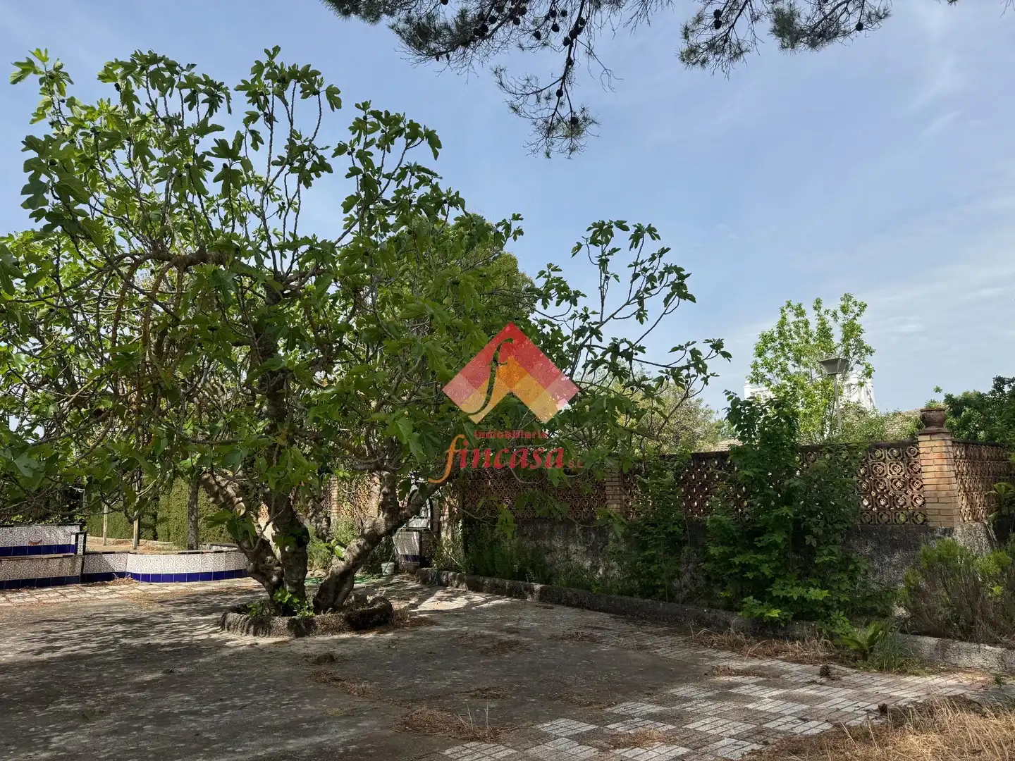 Jardín de Casa o chalet en venta en Ronda con Jardín privado, Terraza y Trastero