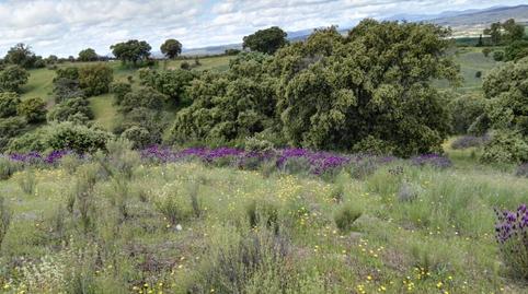 Foto 3 de Finca rústica en venda a Santa Cruz del Retamar pueblo, Toledo