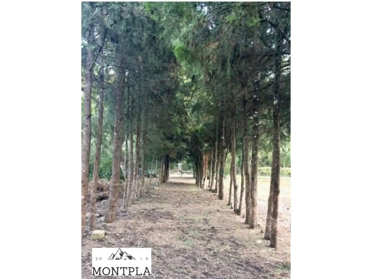 Casa o chalet en venta en La Baronia de Rialb