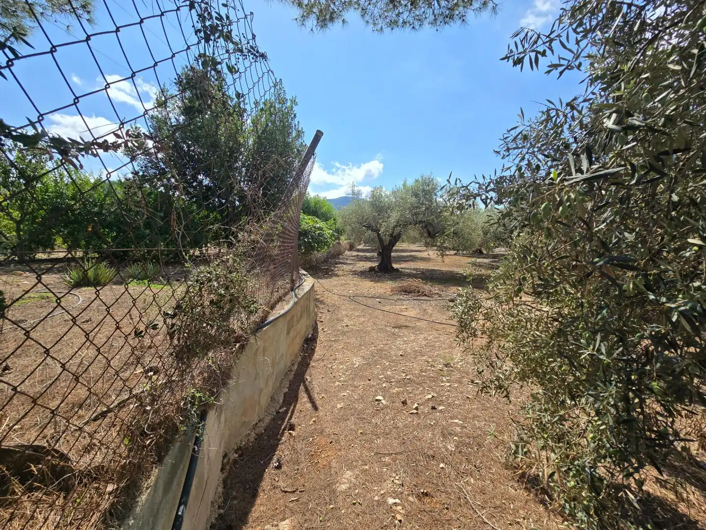 Finca rústica en venta en Freginals con Jardín privado