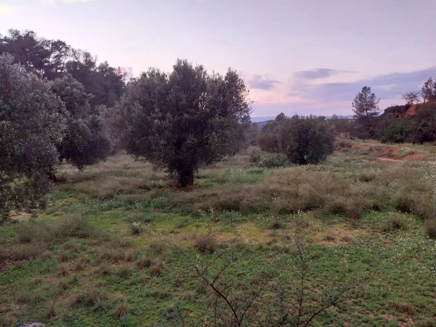 Terrain rustique à vendre à Vinebre, imagen 21