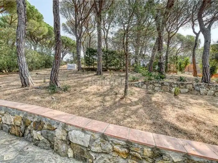 Apartment mit Garten zur Miete in Passeig de la Torre 58, imagen 10