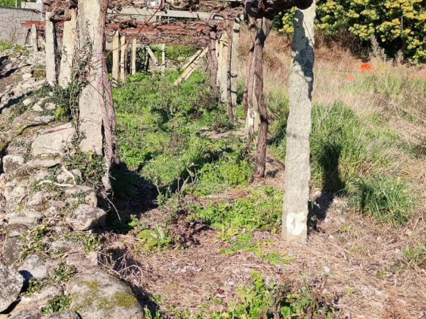 Finca rústica en venda en Padrón amb Jardí privat
