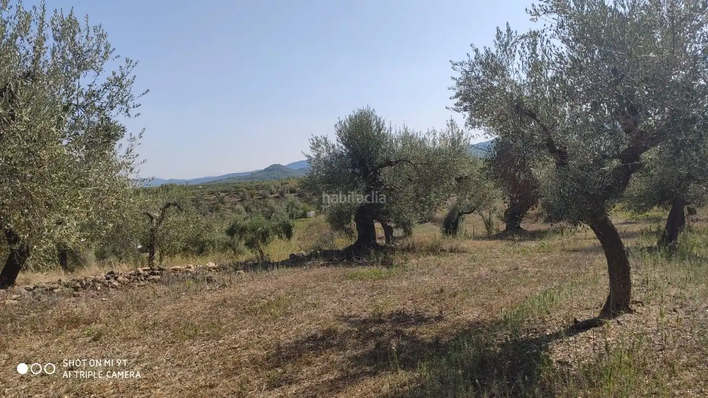 Rural land for sale in Carrer de la Muntanya 1, imagen 17