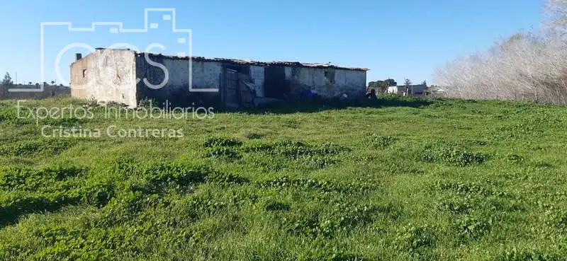 Terreni e lotti in vendita a Almonte ciudad, imagen 2