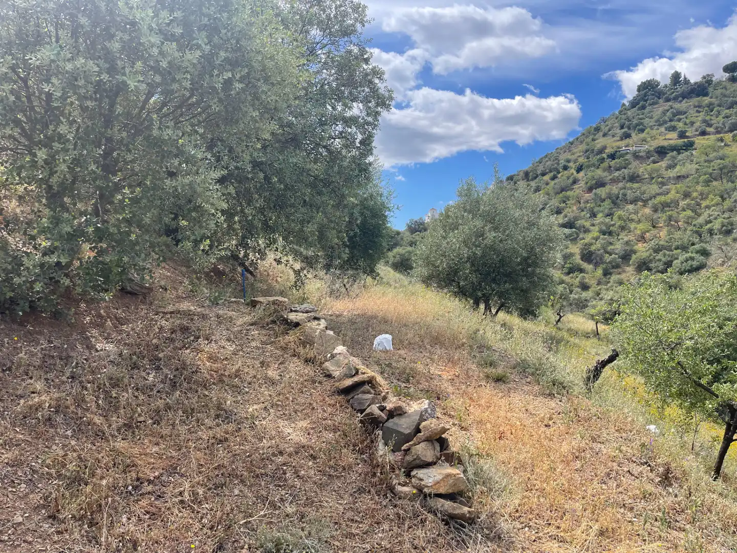 Terreno en venta en Guaro