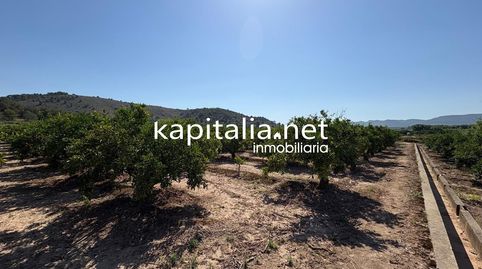 Photo 5 of Country homes for sale in Rotglà i Corbera, Valencia