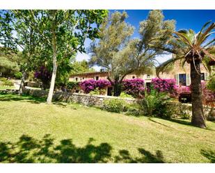 Jardí de Casa o xalet en venda en Artà amb Aire condicionat, Jardí privat i Terrassa