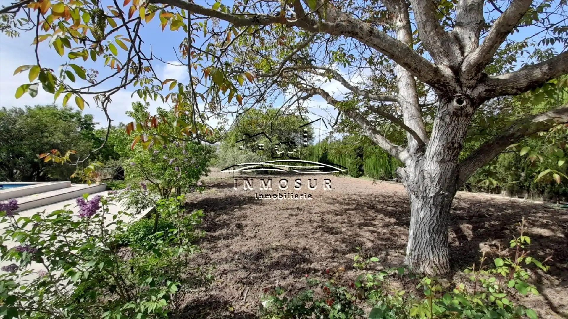 Casa o chalet en venta en Lucena con Trastero y Piscina