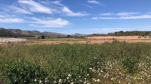 Foto 4 de Finca rústica en venda a Hellín, Albacete