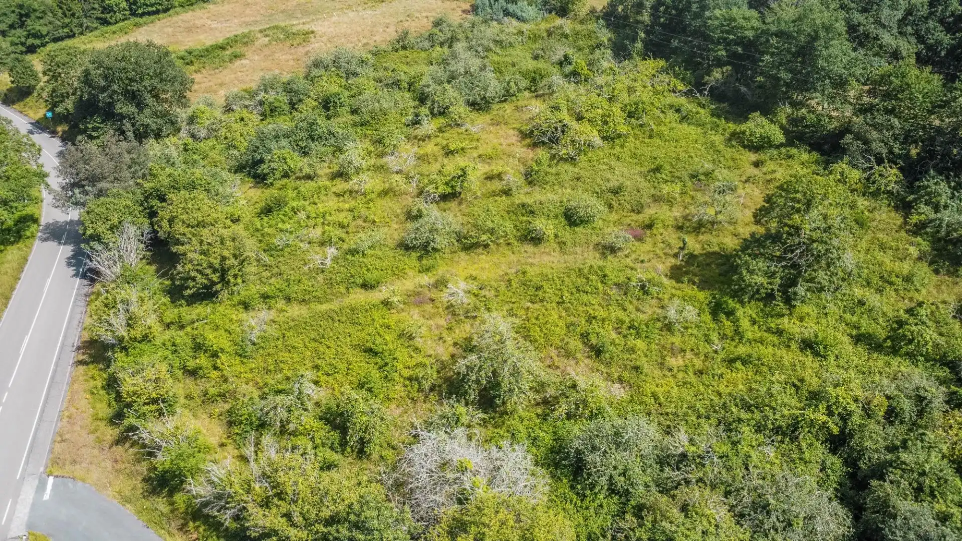 Rural land for sale in del pareo, imagen 3