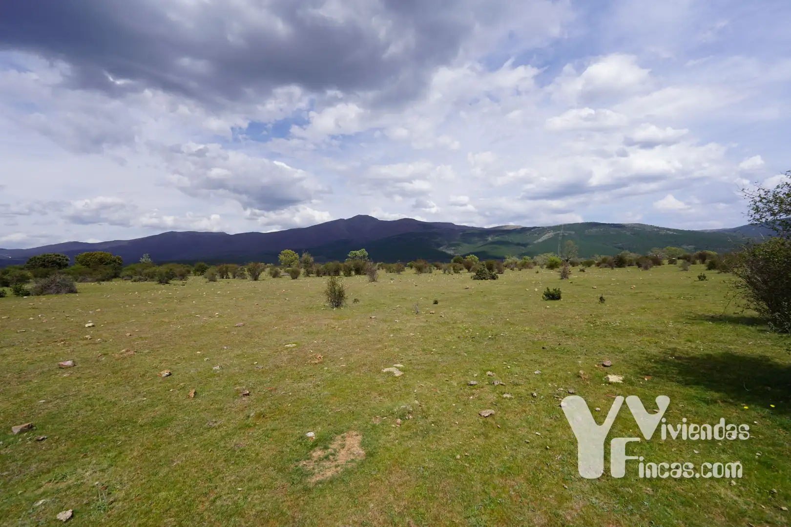 Terreno rústico en venta en Campillo de Ranas, imagen 21
