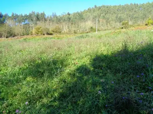 Terreno rustico in vendita a Parroquias suroccidentales, imagen 13