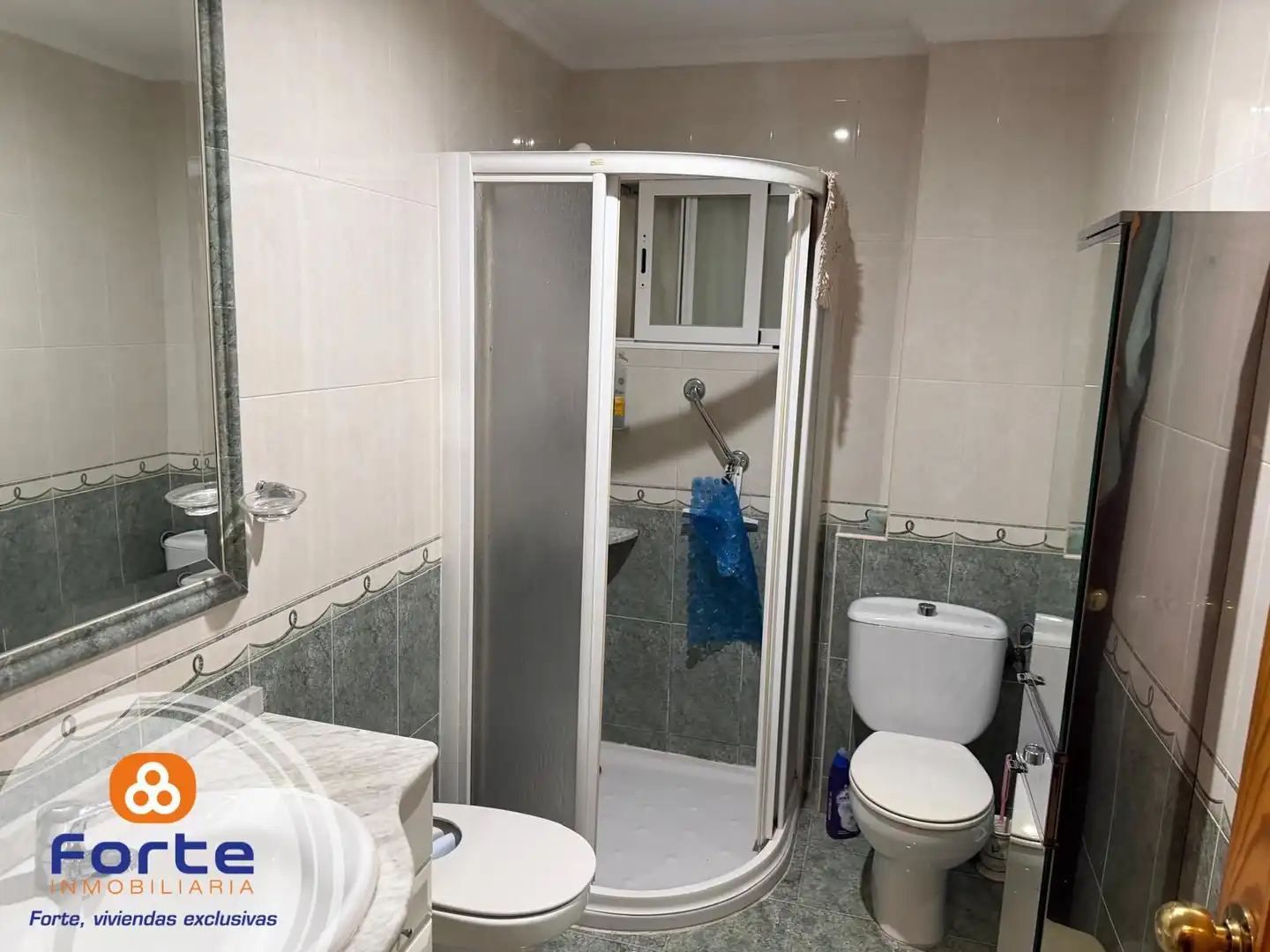 Flat with lift for sale in Poniente-Sur, imagen 17